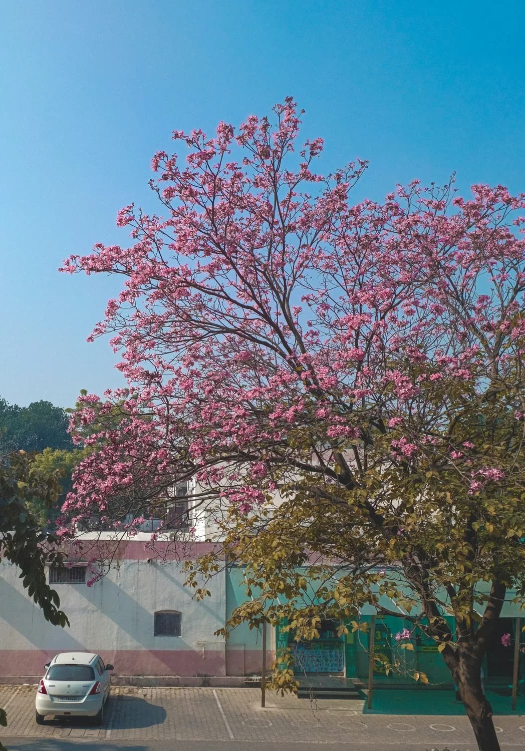 潮汕四季旅游攻略：每个季节都有独特的玩法和体验