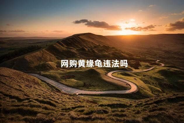 网购黄缘龟违法吗