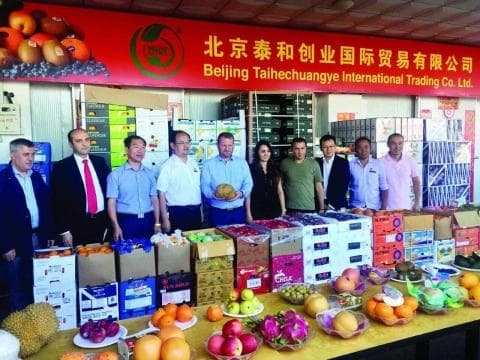 东南亚水果进口热度不减 提升品质是关键