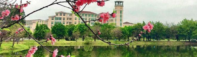 闽江学院2025年招生指南：专业录取分数及优势学科详解