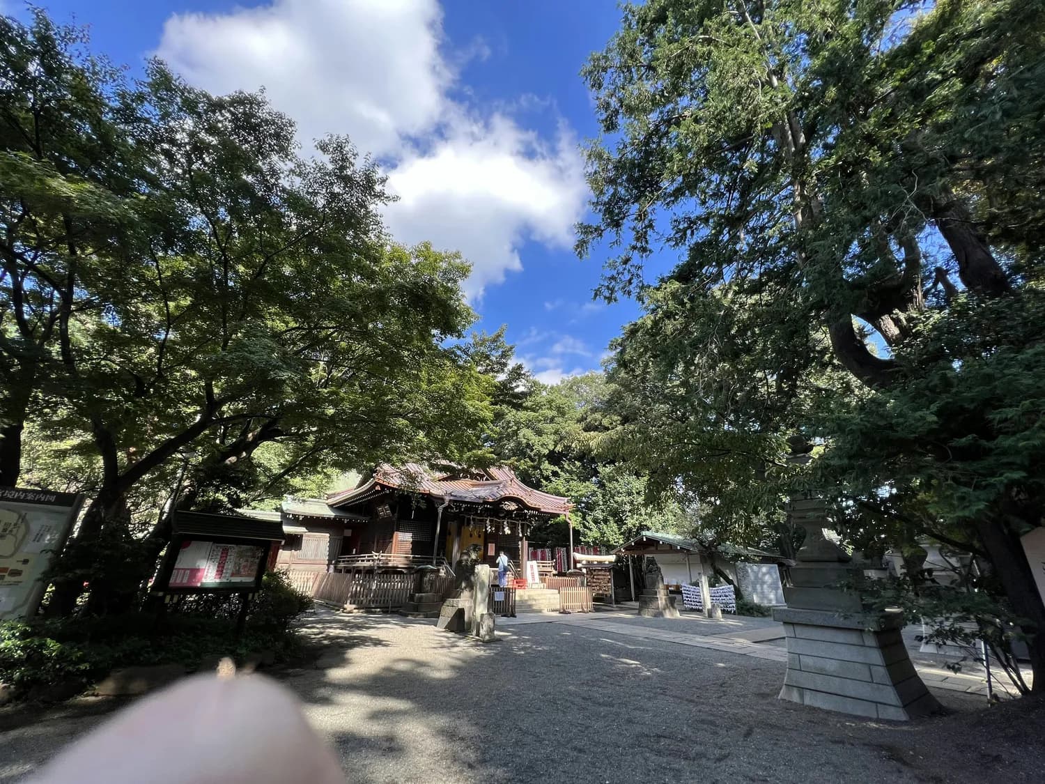 少林寺初祖庵与塔林：宋代建筑遗珍与古塔艺术宝库