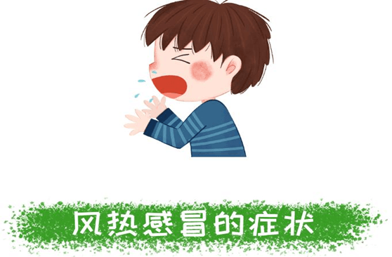风热感冒：病因、症状、诊断与治疗全解析