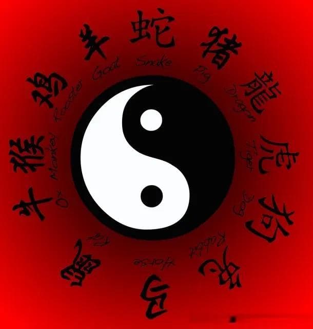 从占卜到哲学：《易经》为何成为中华文明的无尽宝藏？