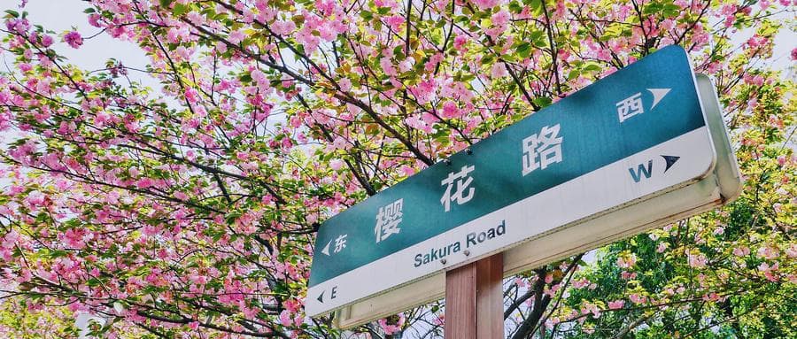 张雪峰谈物流管理：就业前景方向如何？
