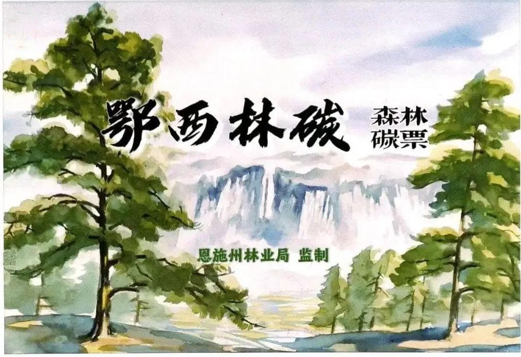 湖北最大碳汇区发行首批森林碳票，23.8万吨碳汇量可交易