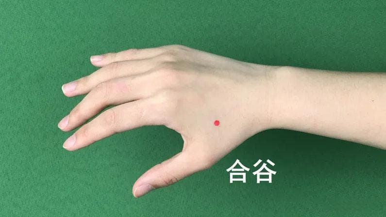 中医必背的针灸歌诀大集合