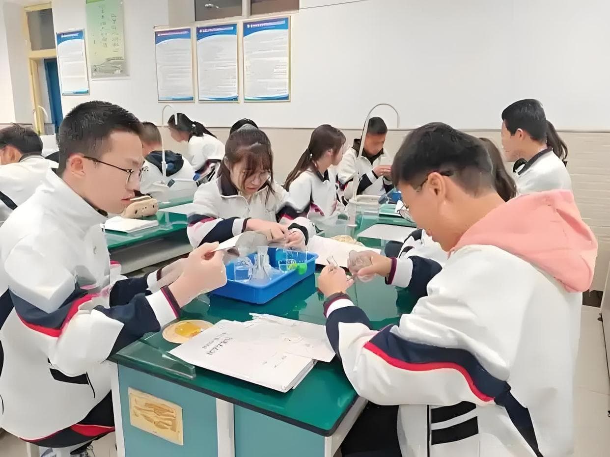 情境教学：以真情境，启深智悟