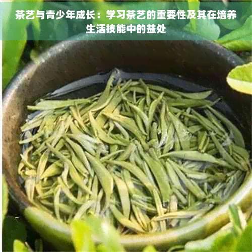 茶艺与青少年成长：学习茶艺的重要性及其在培养生活技能中的益处