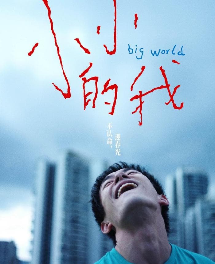 从平凡奢望到逐光之旅：解读 《小小的我》