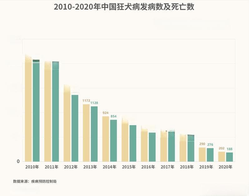 “铲屎官”注意了，各地禁养犬种、出行限制、违规处罚措施