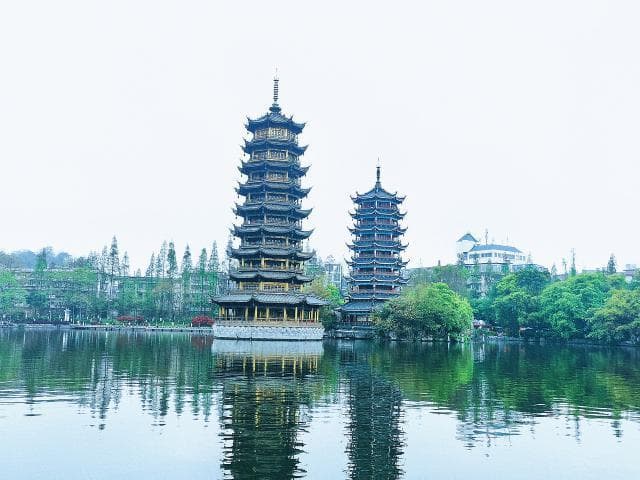 月桂与桂花：两种常绿植物的全面对比