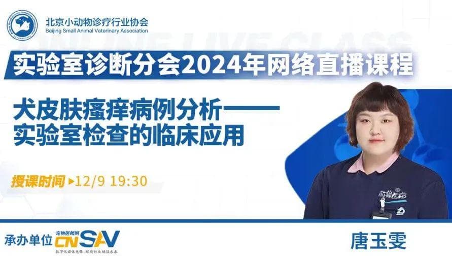 一例猫尿闭并发肾衰及高血钾的诊治分享