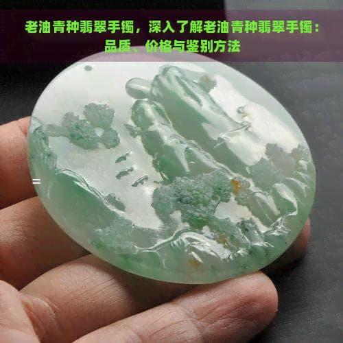 老油青种翡翠手镯：品质、价格与鉴别方法