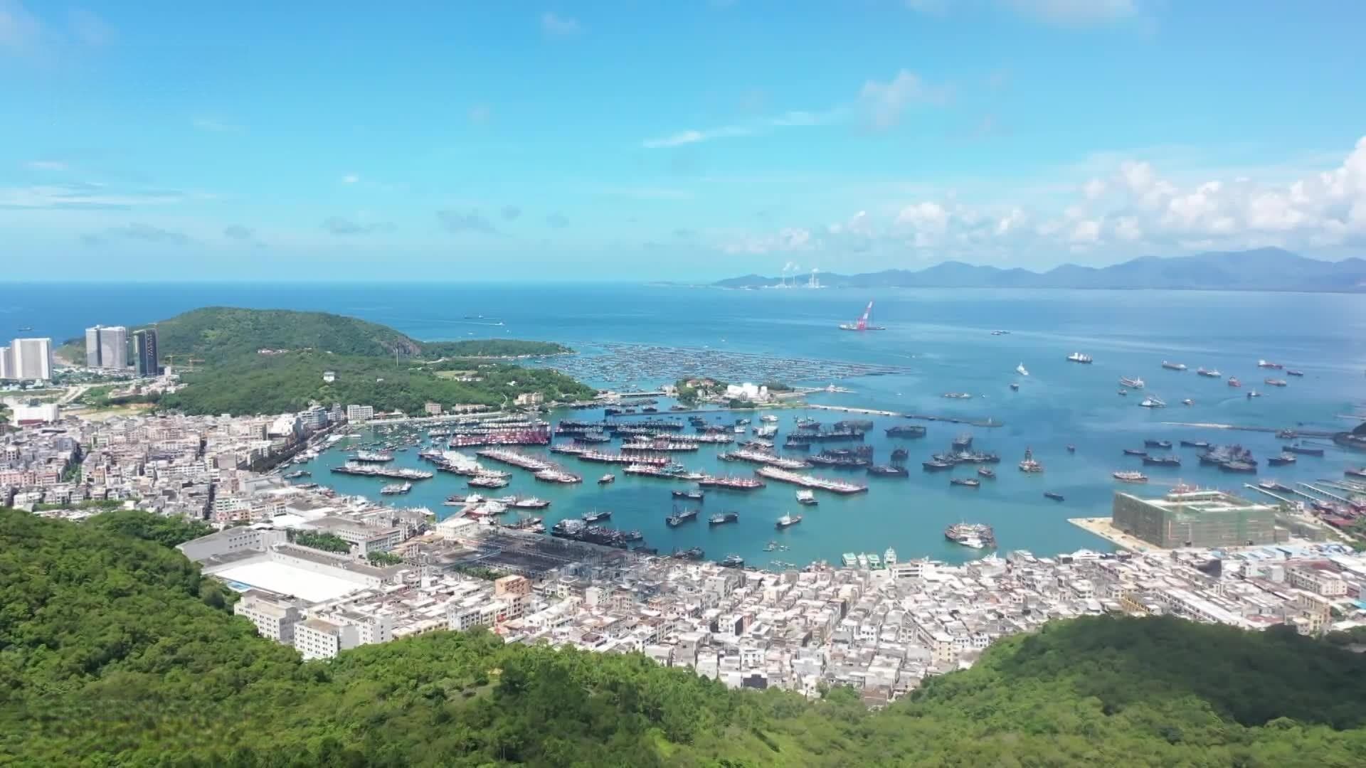 冬季平均22℃的海陵岛，何以吸引“候鸟”迁徙？