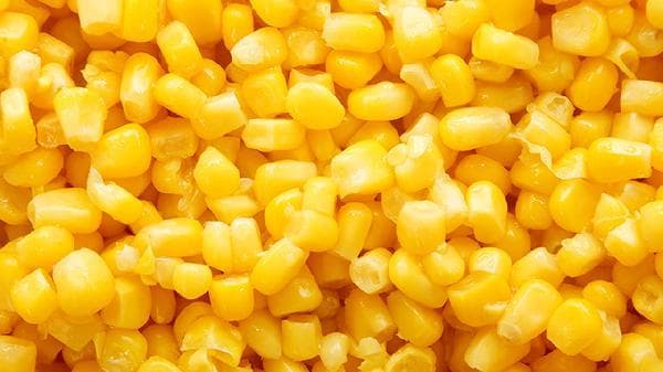 贴玉米面饼子怎么做的又松又软