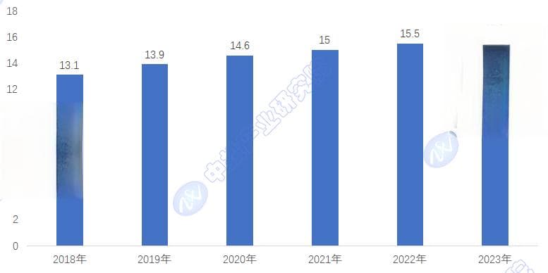 中国铁路行业深度研究报告：2025-2029年发展趋势与前景预测