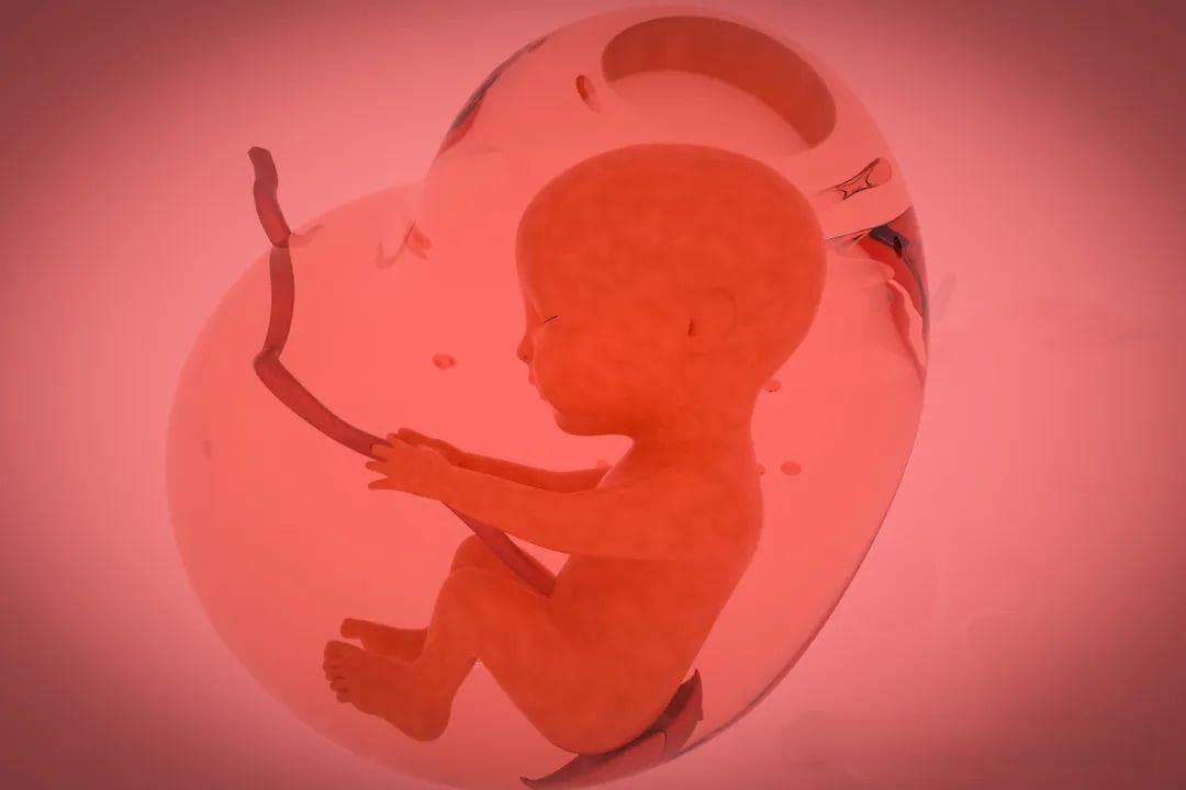 孕妈妈的血脂变化：从原因到风险的全面解析
