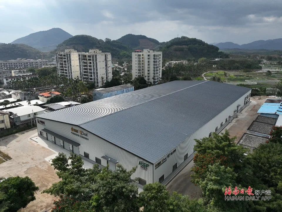首座国产榴莲加工厂，预计6月在三亚建成投用