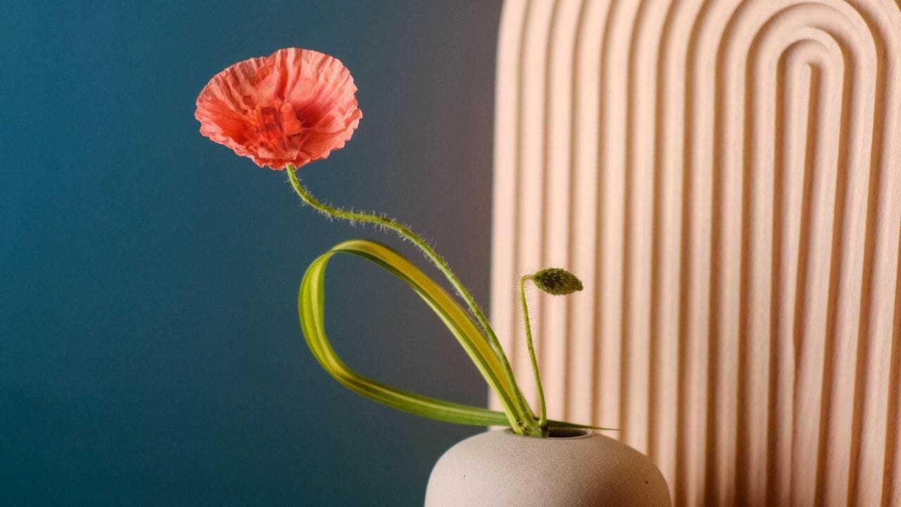 花道：日本花艺及其与自然的联系