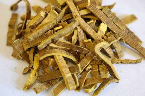 中药用药禁忌主要包括哪四个方面