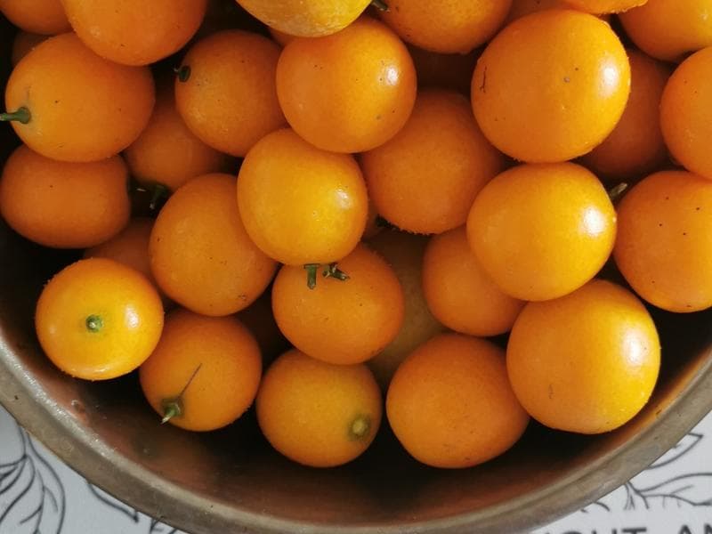 甘草金桔膏