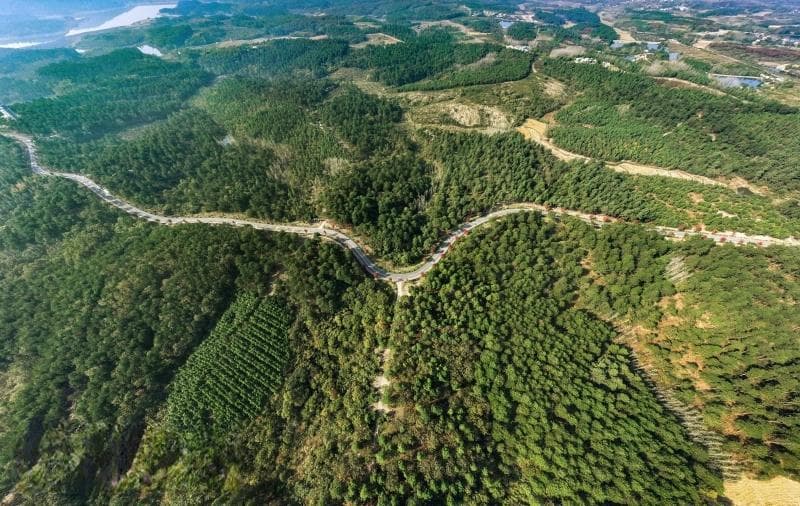 一条风景道，如何成为滁州文旅的“破圈之道”