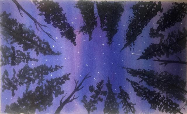 描写夜晚景色优美的诗句
