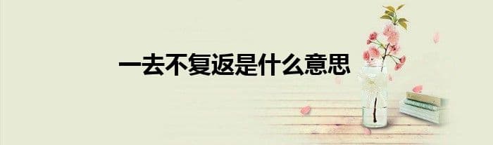 一去不复返是什么意思