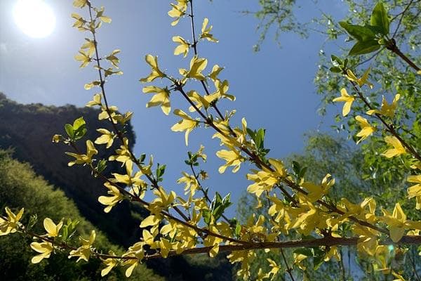 开斋节是怎么来的，开斋节的传说简介