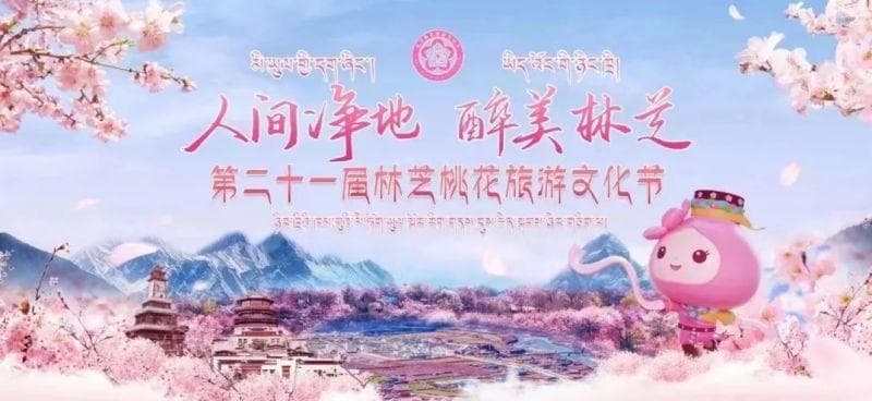 林芝百里桃花海：西藏最大野生桃林迎来最佳观赏期