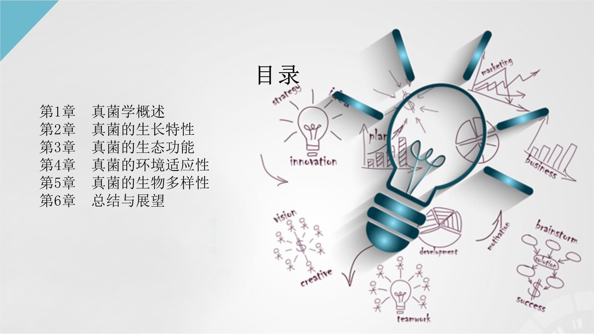 【真菌学】认识真菌的生长特性与生态功能
