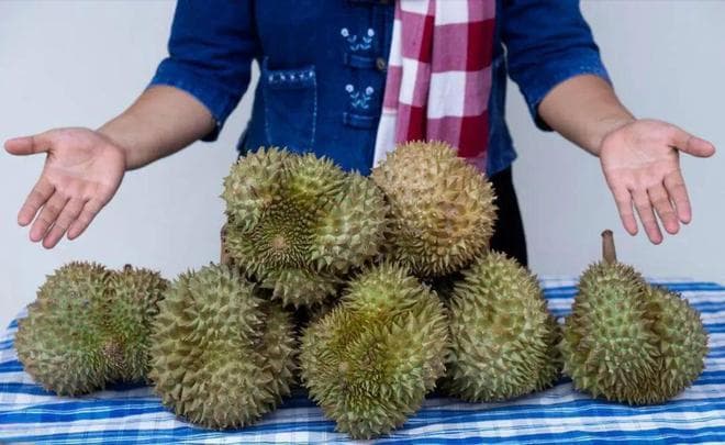 买榴莲必看：5个实用技巧助你挑选又大又香的完美榴莲