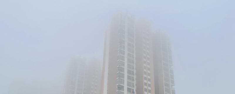 大雾是怎么形成的？大雾是由什么组成？