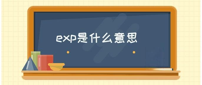 exp是什么意思