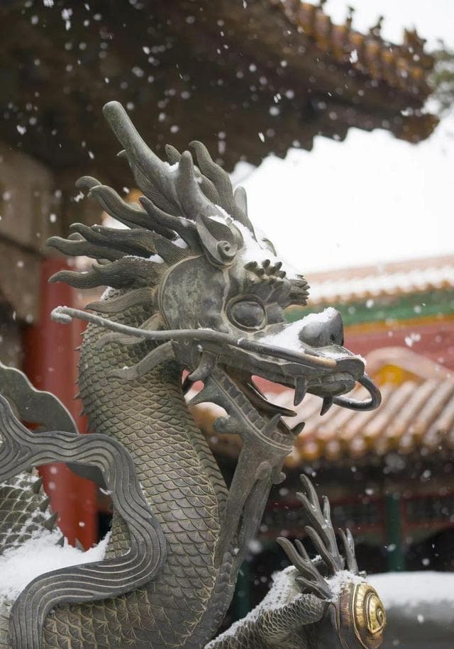 龙的传承与腾飞：中国龙文化的历史意义与现代发展