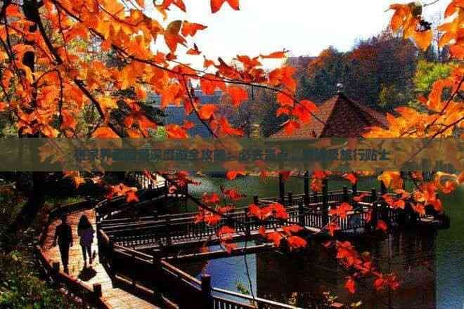 张家界武陵源深度游全攻略：必去景点、路线及旅行贴士