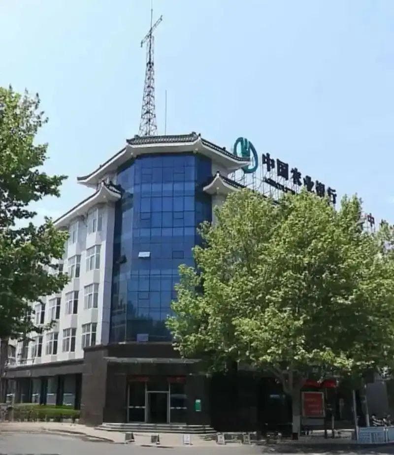 泰安居民实名举报：银行与公司联手设局，贷款诈骗受害人苦不堪言