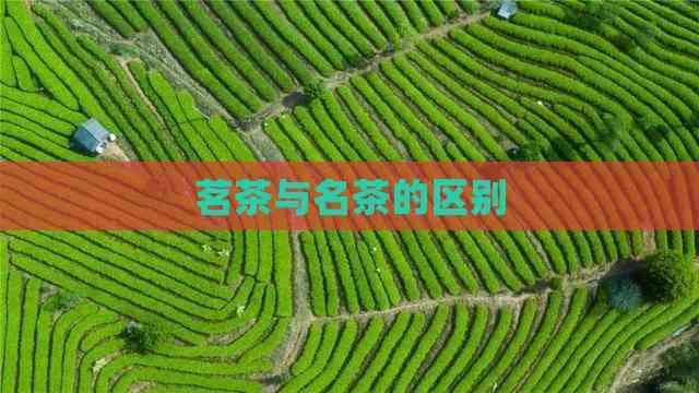 茗茶与名茶的区别