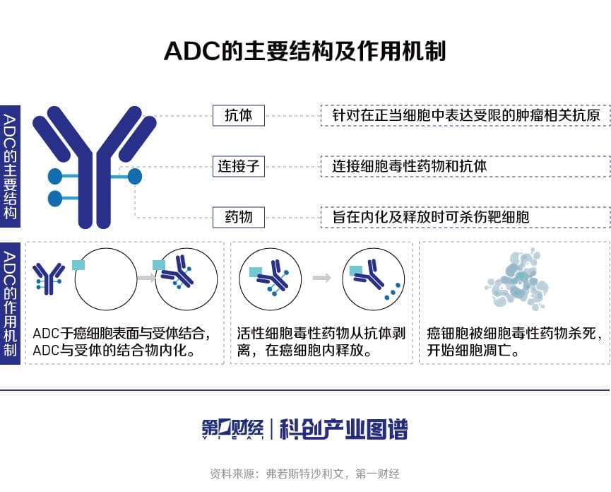 ADC产业洞察：差异化创新铸就核心竞争力，国内ADC产业话语权渐增