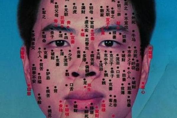 天庭面相解读：如何通过面相判断一个人的命运与性格