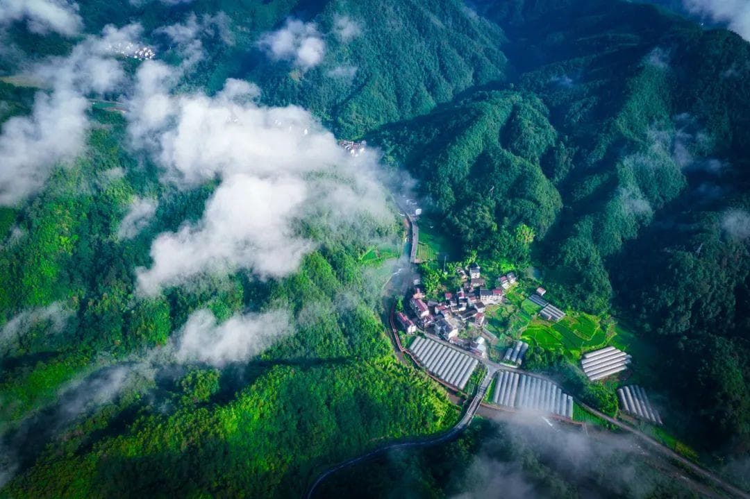 夏季山林安全攻略：防火、禁食野生动物，这些行为要不得