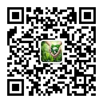 防洪评价报告编制方法与水流数学模型建模实践技术