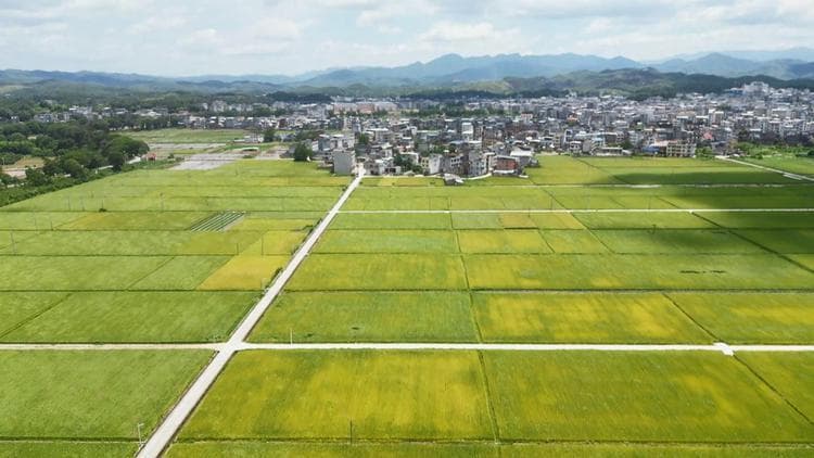 龙岩长汀：河策灌区“山田”共治 绘制乡村振兴画卷