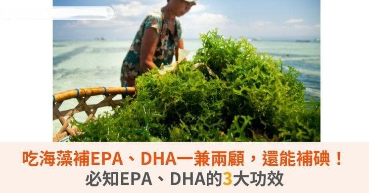吃海藻补EPA、DHA一兼两顾，还能补碘！必知EPA、DHA的3大功效