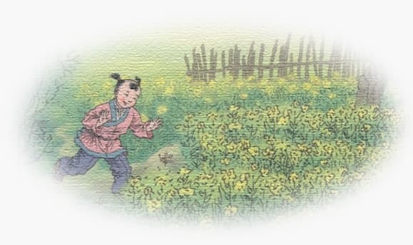 “儿童急走追黄蝶，飞入菜花无处寻。”的意思及全诗翻译赏析