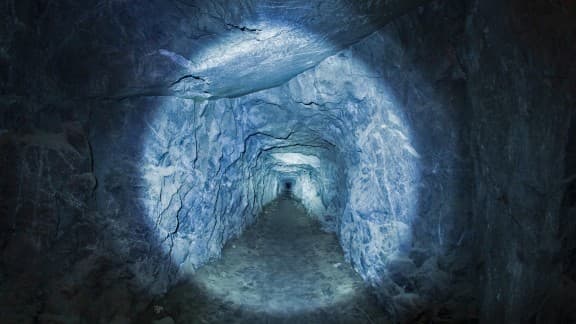 轻松在线查询！2025年如何实时追踪报案进度与案件受理状态