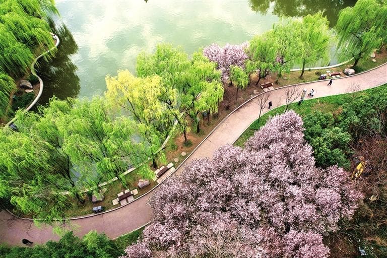 三秦花似锦 笑迎四海客