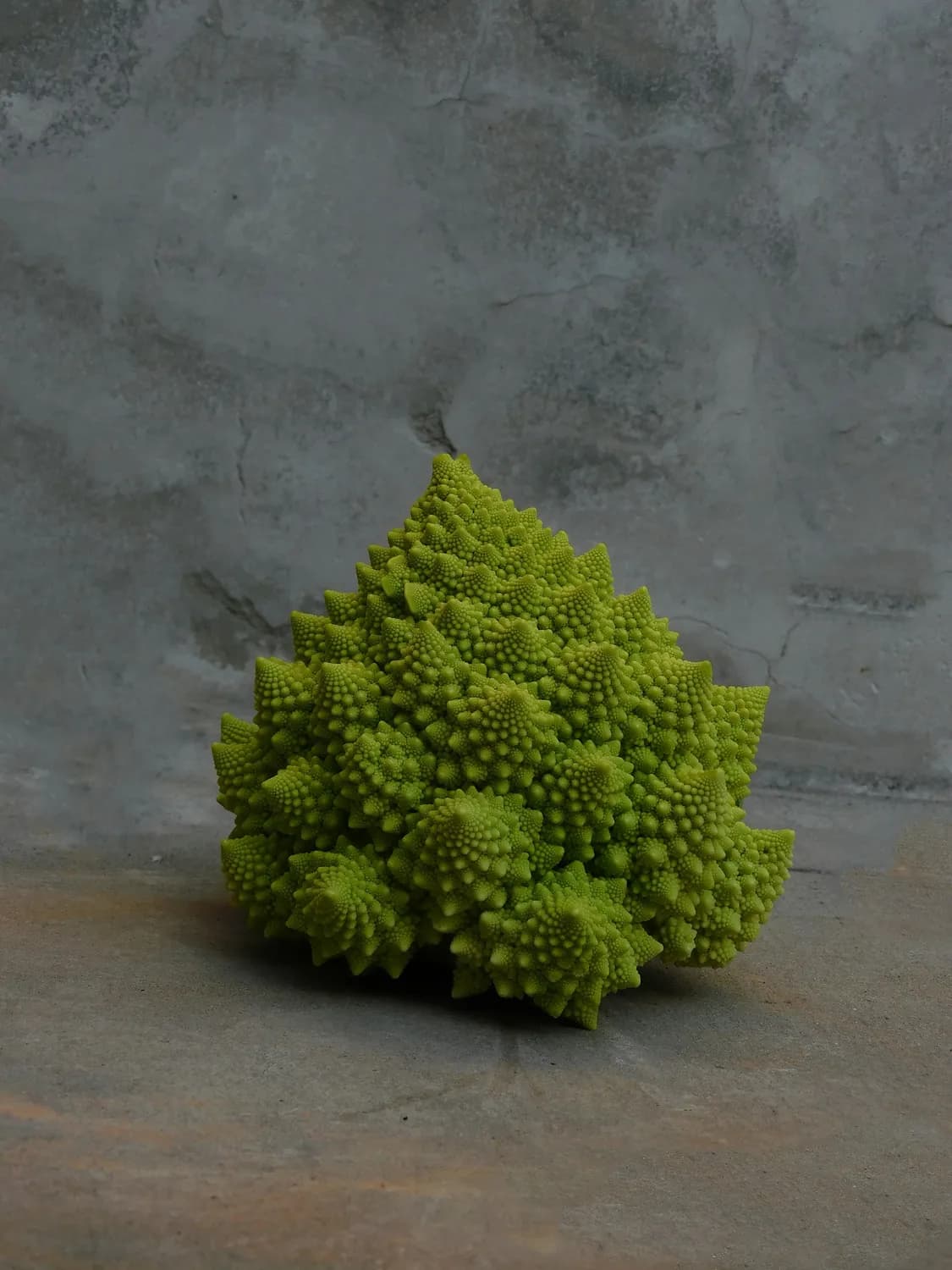 春季宝塔菜种植技巧大揭秘！