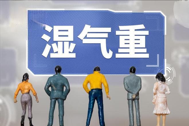 养生先祛湿！5种食材，健脾祛湿，助你远离湿气困扰，舒心过秋冬