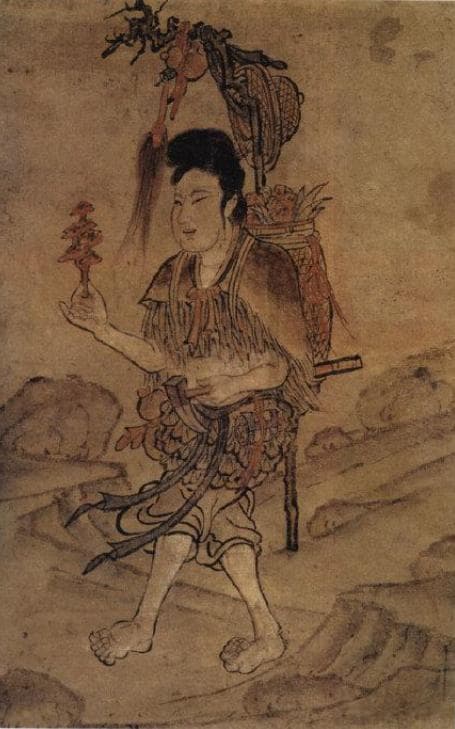 《神农本草经》中的灵芝